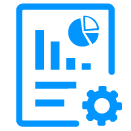 Audit & Reports